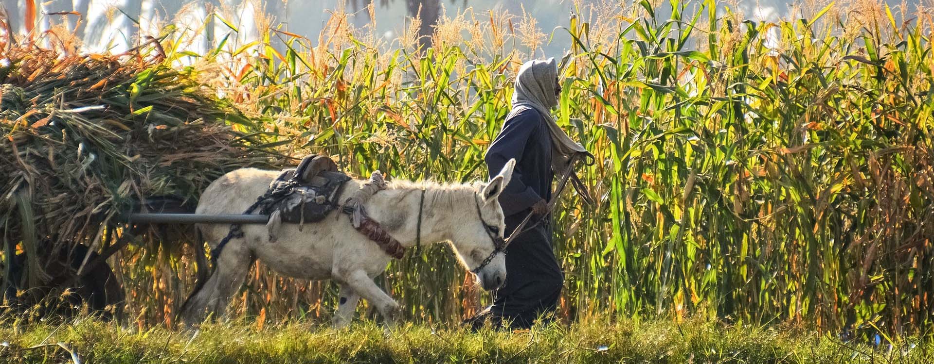 Approvisionnements Généraux en Afrique