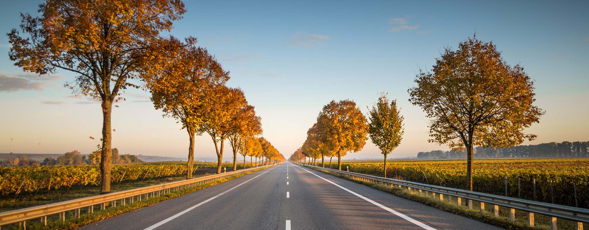 Routes et Infrastructures Routières en Afrique